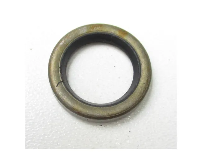 Dichtung SS Komposit 1/2" PRO