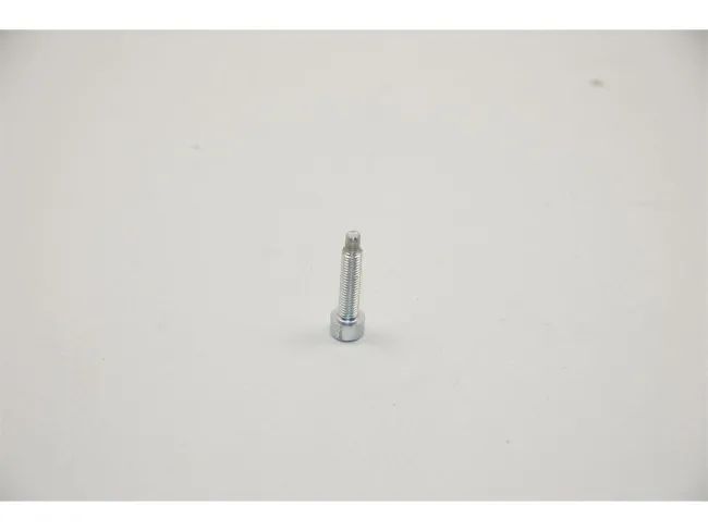 Einstellschraube D 210 / 250 TU 2304