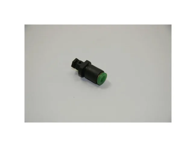 Entlastungsventil NEMA 230V