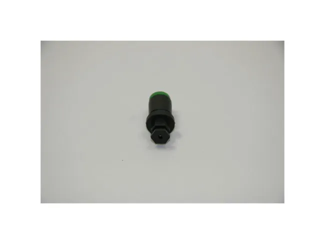 Entlastungsventil NEMA 230V