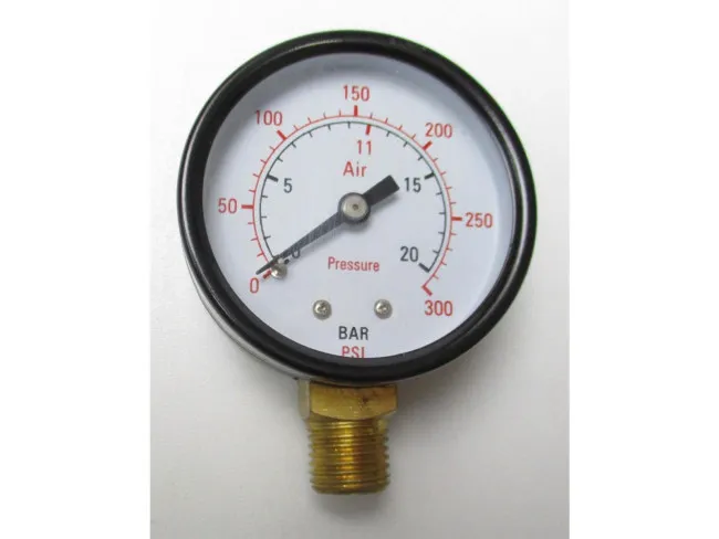 Manometer Ø50, G1/4", 0-20BAR