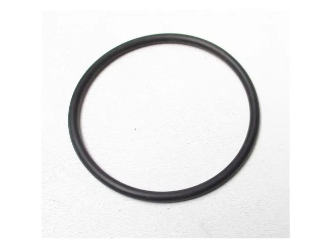 O-Ring B 16 H Vario