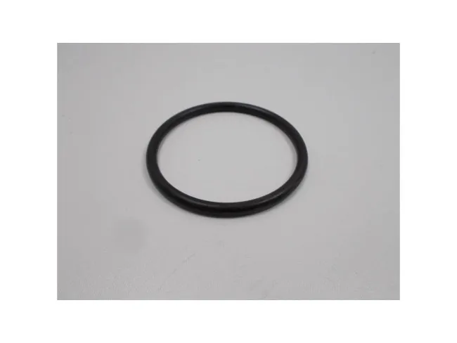 O-Ring B40GSM/GSP