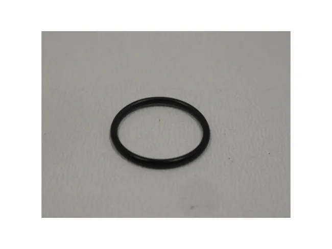 O-Ring TRP