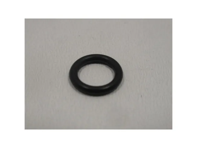 O-Ring TRP