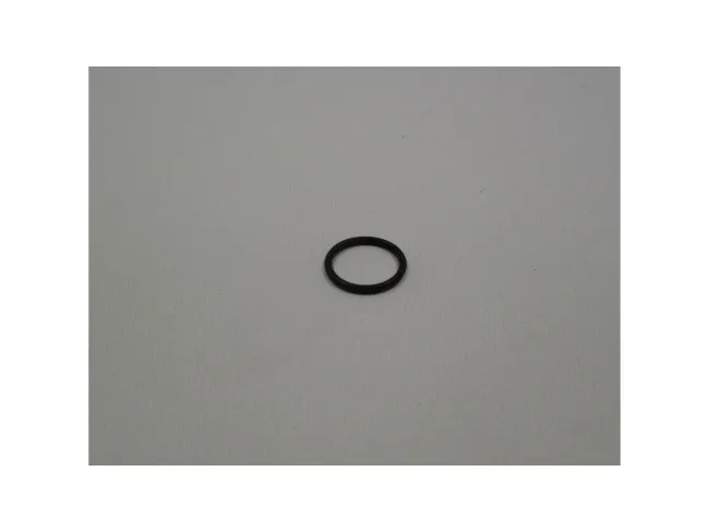 O-Ring TWS Pro