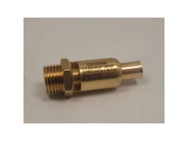 Sicherheitsventil 1/4", 10bar