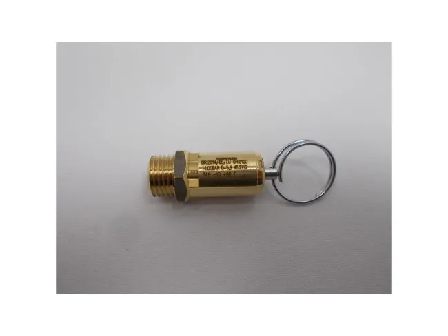 Sicherheitsventil 1/4" 14bar PED+RING