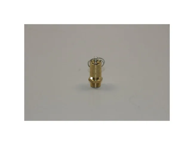 Sicherheitsventil G1/4 T10bar