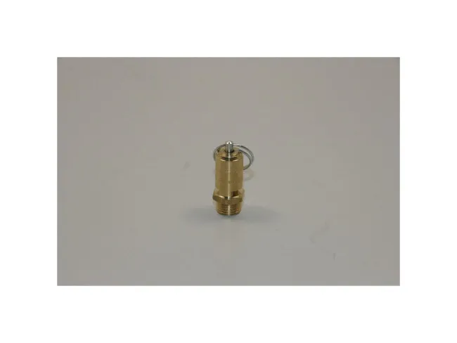 Sicherheitsventil G1/4 T10bar