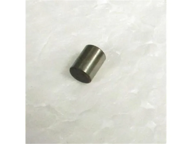 Zylinderstift B 40 GSM / GSP