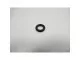 O-Ring IWS 125 Pro