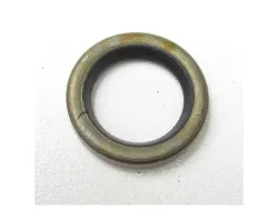 Dichtung SS Komposit 1/2