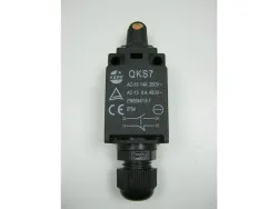 Endabschalter S181,G
