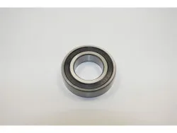 Kugellager 6005RS