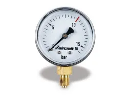 Manometer Ø 50 mm ¼" hinten, 10 bar