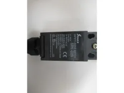 Mikroschalter 250V 14A - S131GH S150 S21