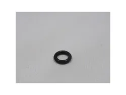O-Ring ISS 1/2