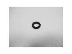 O-Ring IWS 125 Pro