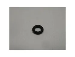 O-Ring TRP