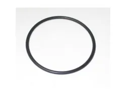 O-Ring WS 125