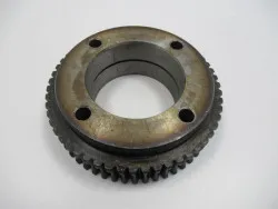 Schneckenrad DH 55 G