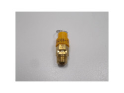 Sicherheitsventil 1/4