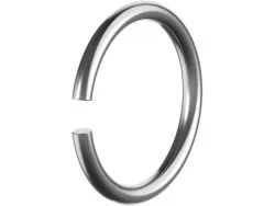 Sicherungsring TWS Pro