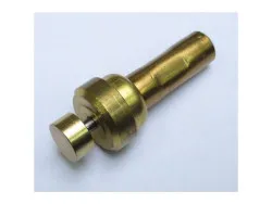 Thermostateinsatz 71?